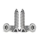 Self Tapping Screw